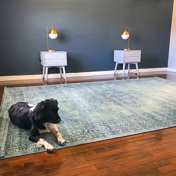 Benjamin Moore Stonecutter living room accent wall