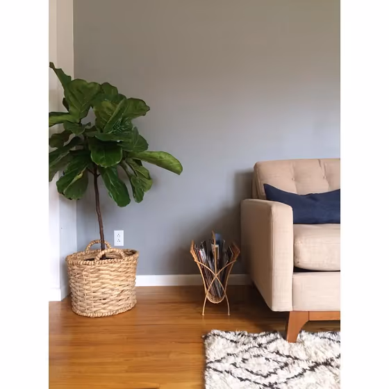 Benjamin Moore Storm Living Room