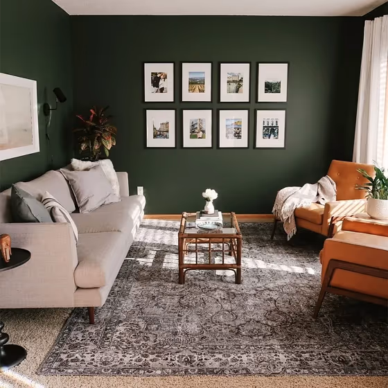 Benjamin Moore Vintage Vogue living room paint