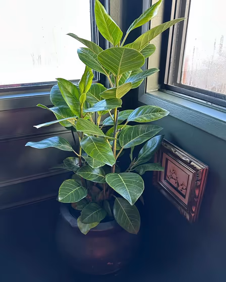 Vintage Vogue bedroom review