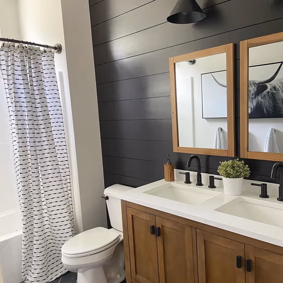 SW Black Magic bathroom accent wall