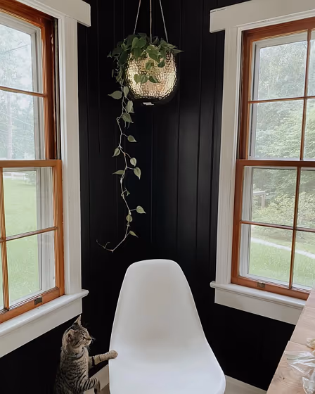 Sherwin Williams Black Magic wall paint