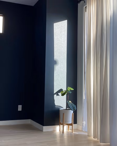 Sherwin Williams Black Of Night Living Room