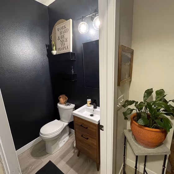 Sherwin Williams Black Of Night Bathroom