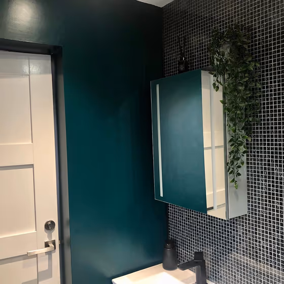 RAL Classic Blue green RAL 6004 bathroom