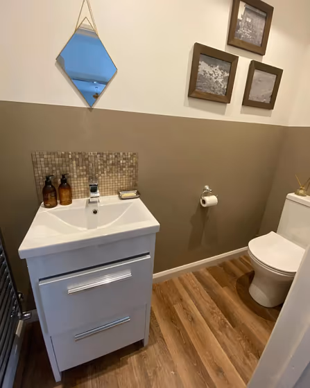 Dulux Brave Ground bathroom color-block