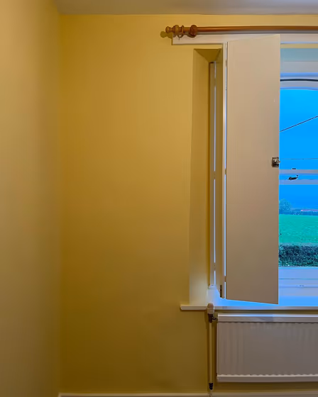 Dulux Buttercup Fool 5 wall paint color