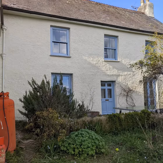 Gooseberry Fool 5 exterior color