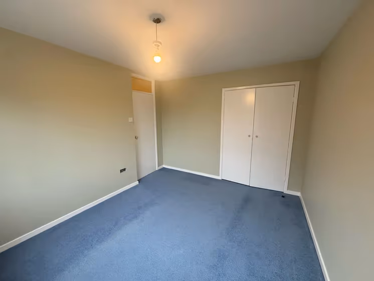 70YY 65/090 wall paint review