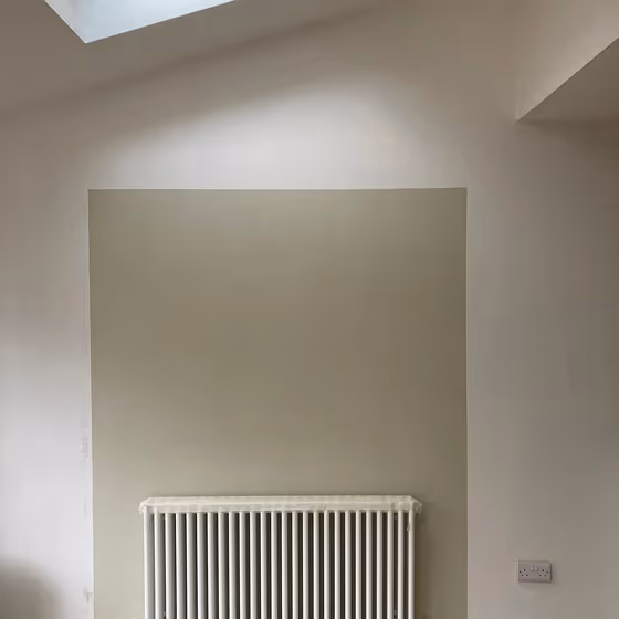 Dulux Jurassic Stone paint color-block