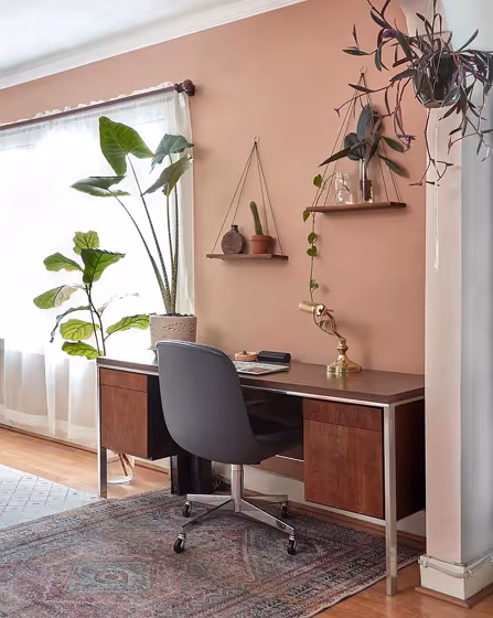 Workplace boho interior with Behr Canyon Dusk S210-4