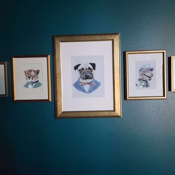 Sherwin Williams Cape Verde Review