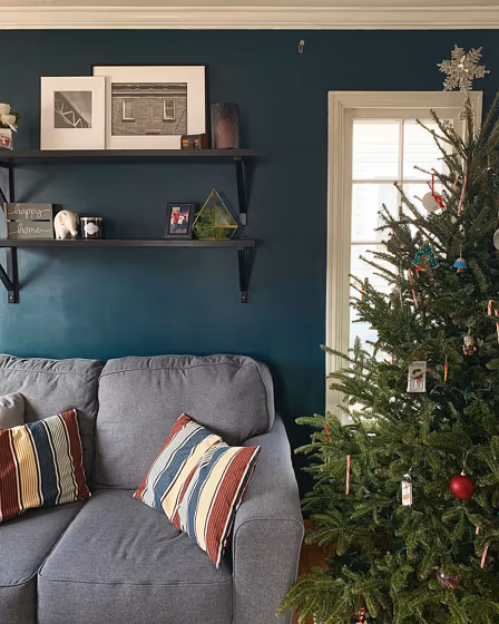 Sherwin Williams Cascades Living Room