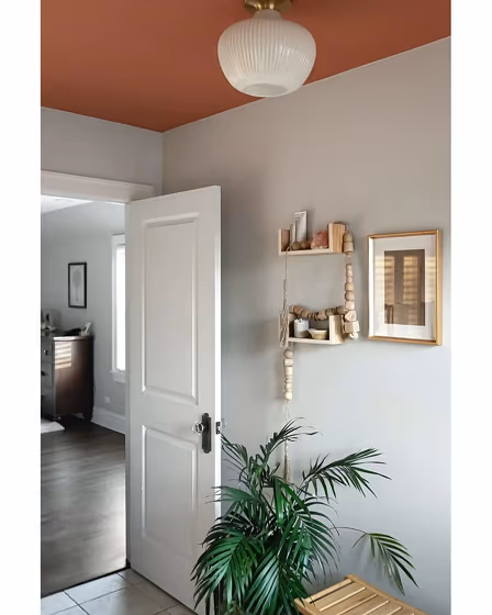 Sherwin Williams Cavern Clay bathroom ceiling