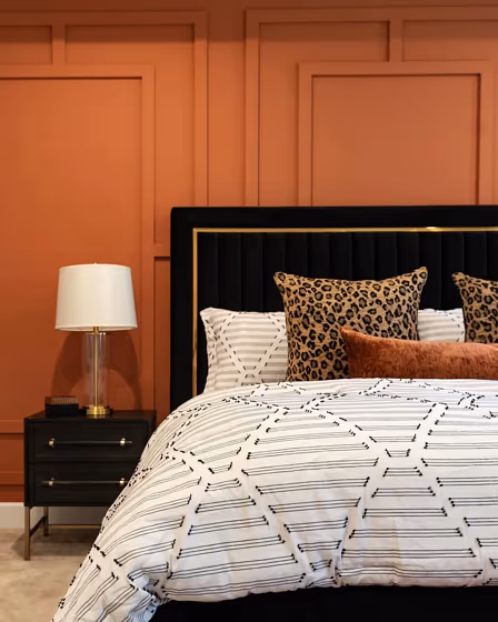 Sherwin Williams Cavern Clay Bedroom