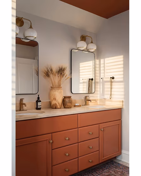 Sherwin Williams Cavern Clay Bathroom Vanity