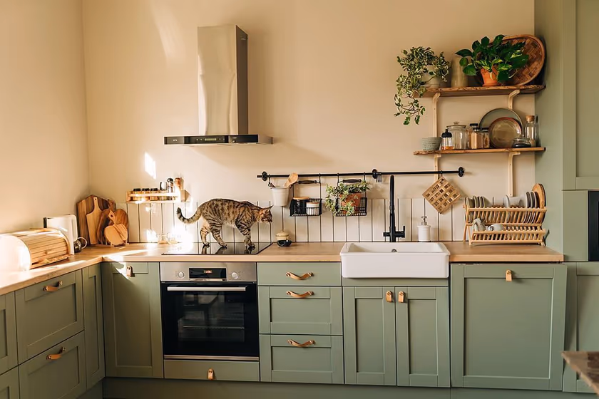 RAL Classic Cement grey RAL 7033 kitchen cabinets