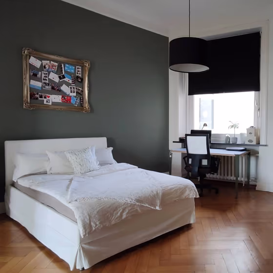 RAL Classic Cement grey RAL 7033 bedroom accent wall