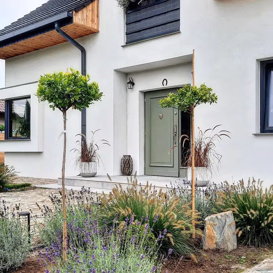 RAL Classic Cement grey RAL 7033 front door