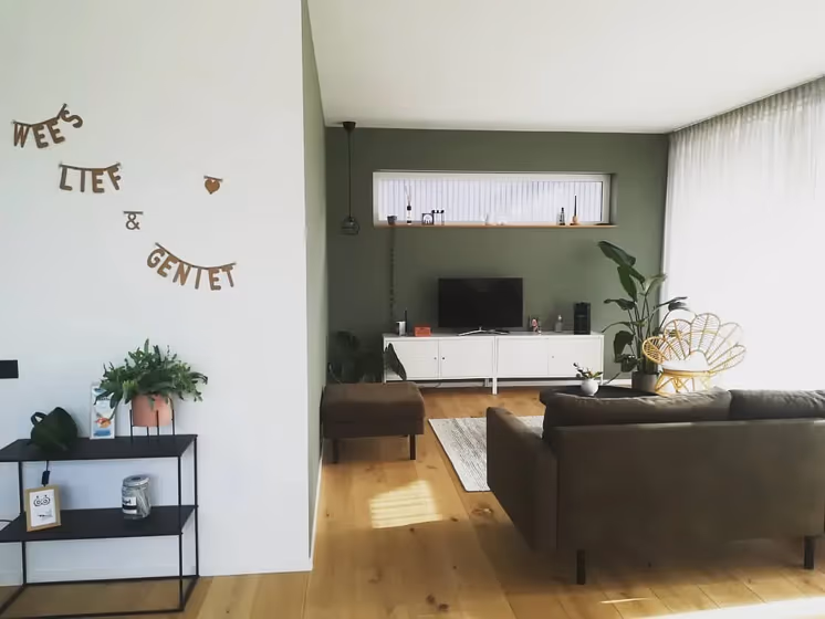 RAL Classic Cement grey RAL 7033 living room