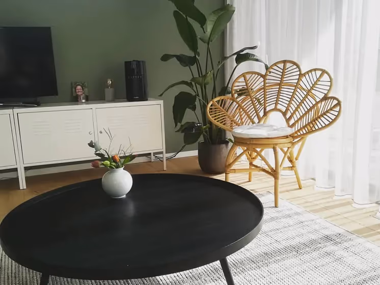 RAL Classic Cement grey RAL 7033 living room