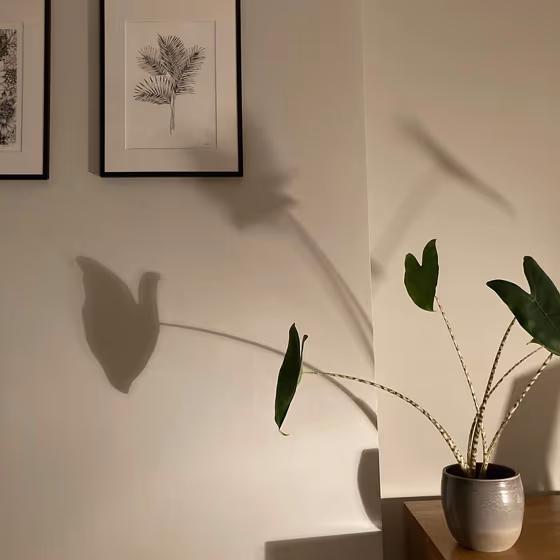 Little Greene Ceviche 230 bedroom