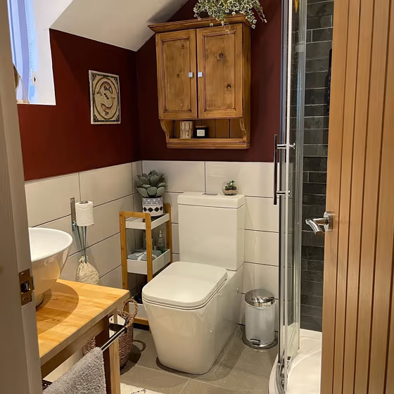 Dulux Cherry Chocolate bathroom makeover