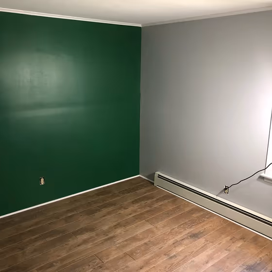 SW Cilantro accent wall
