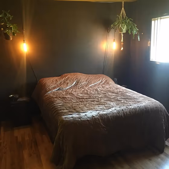 Sherwin Williams Dark Clove Bedroom