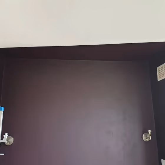 Dulux Decadent Damson wall paint