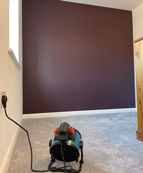 Dulux Decadent Damson accent wall