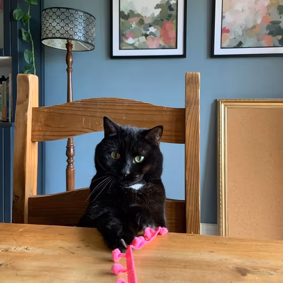 Dulux Denim Drift dining room inspiration