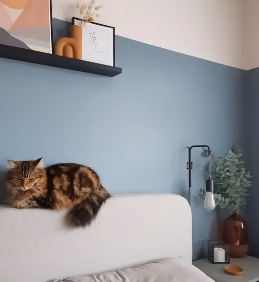 Dulux Denim Drift bedroom color