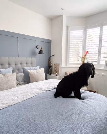 Dulux Denim Drift bedroom color review