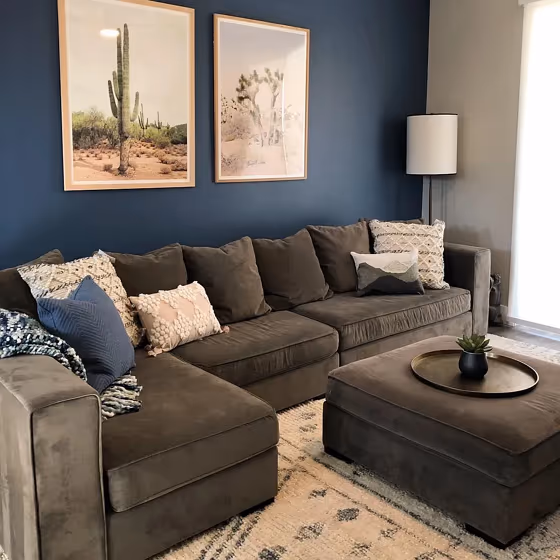 Sherwin Williams Denim living room accent wall