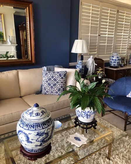 Sherwin Williams Denim living room interior