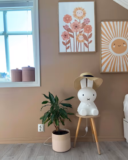 Jotun Desert Pink wall paint color