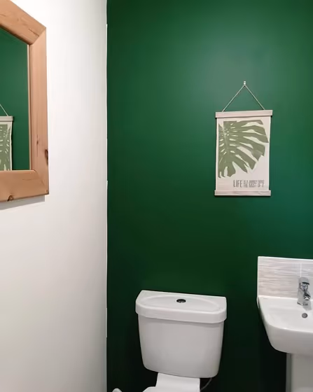Green accent wall in a bathroom Dulux Woodland Fern 1 review