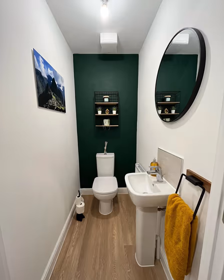 Everglade Forest bathroom accent wall
