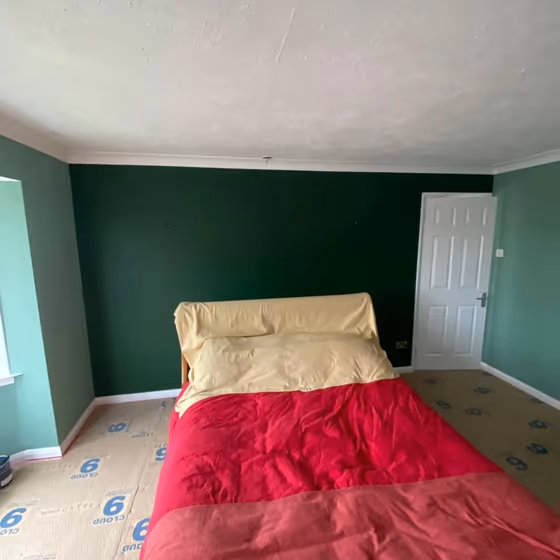 Dulux Everglade Forest bedroom accent wall