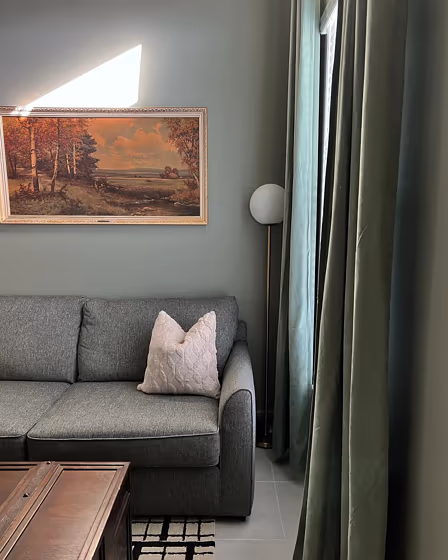 Sw Evergreen Fog Living Room