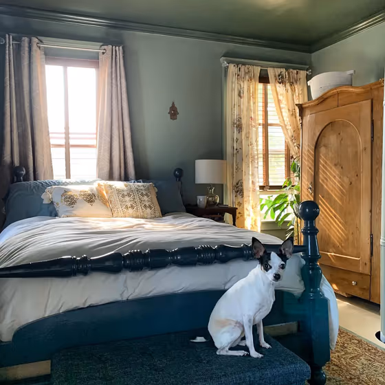 Sherwin Williams Evergreen Fog Bedroom