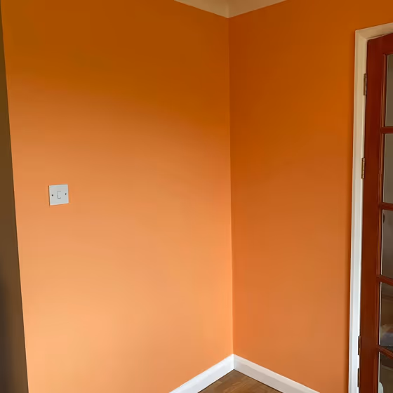 Dulux Fandango Fun wall paint review