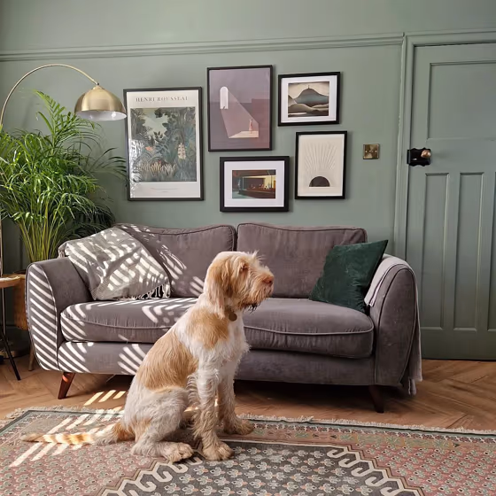 Farrow and Ball Card Room Green 79 living room