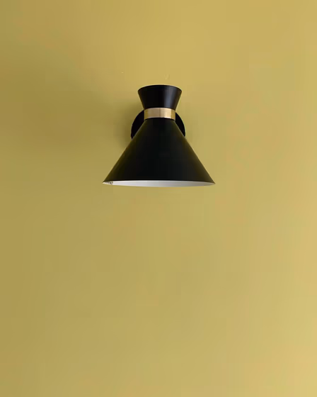 Farrow and Ball Citrona CC3 review