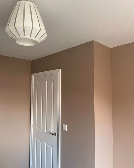 Farrow and Ball Dead Salmon 28 wall paint