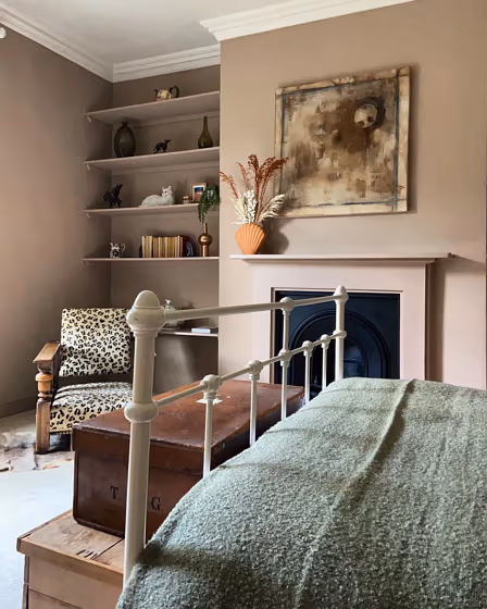 Dead Salmon bedroom color review