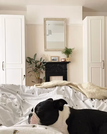 Dimity bedroom color review