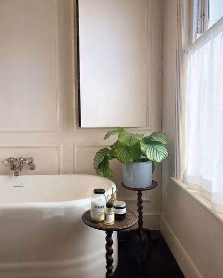 Farrow and Ball 2008 bathroom picture