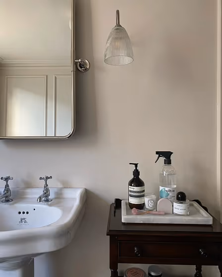 Farrow and Ball 2008 bathroom interior
